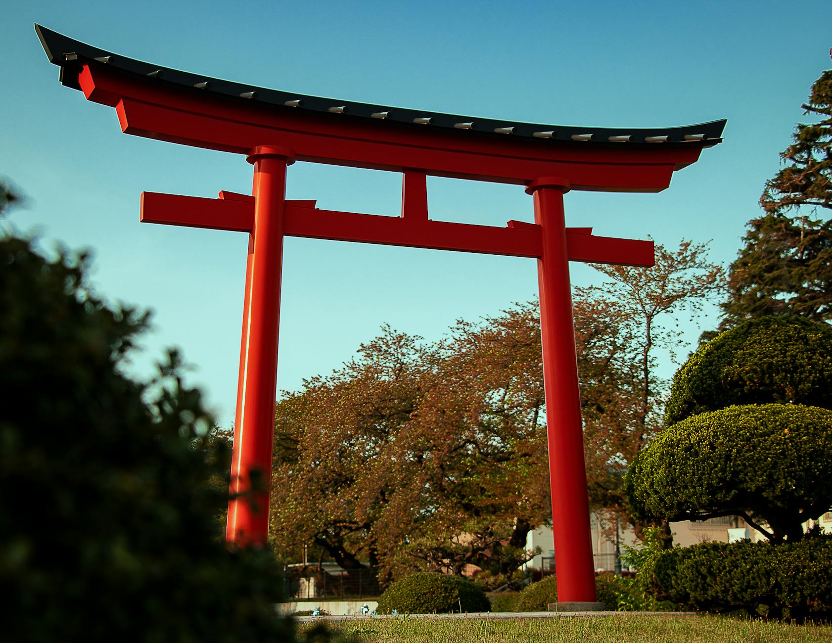 神社の鳥居と参道