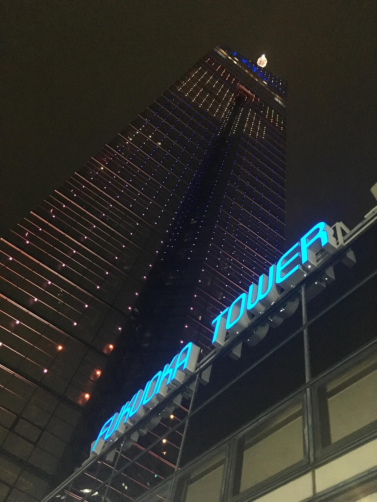夜の福岡タワーと点灯したイルミネーション