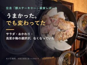 豚ステーキ十一 住吉店の実食レポートのサムネイル（実際に食べた豚ステーキの写真）